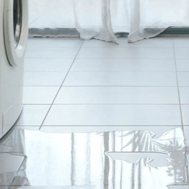 Appliance Leak Cleanup in Carroll County, AR