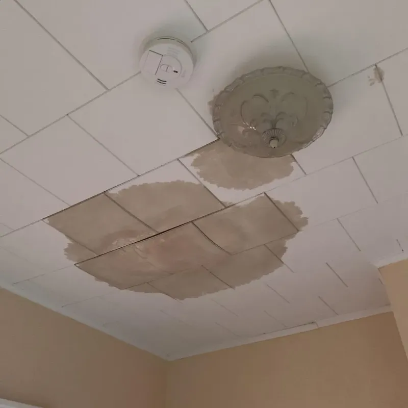 Ceiling Water Damage Repair in Carroll County, AR