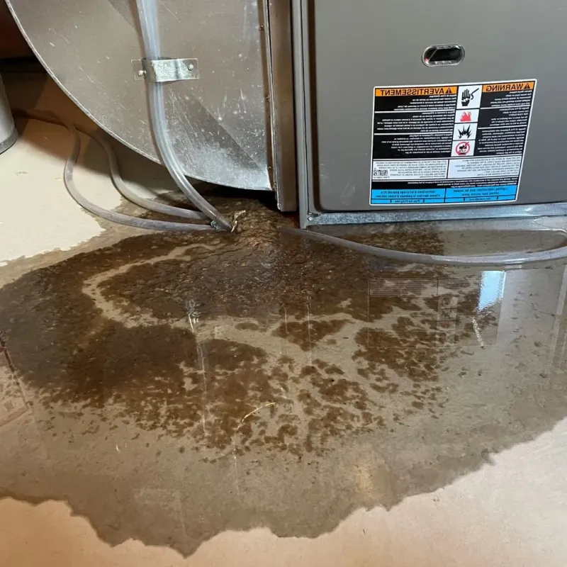Pipe Burst and Leak Restoration in Carroll County, AR