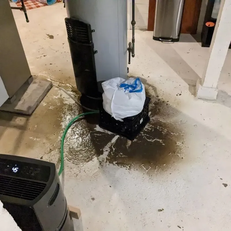Sewage Backup Cleanup Service in Carroll County, AR